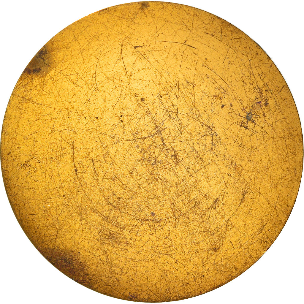 Francja, Medal, Caravelair, N°1, Biznes i przemysł, Pichard, AU(50-53), Bronze