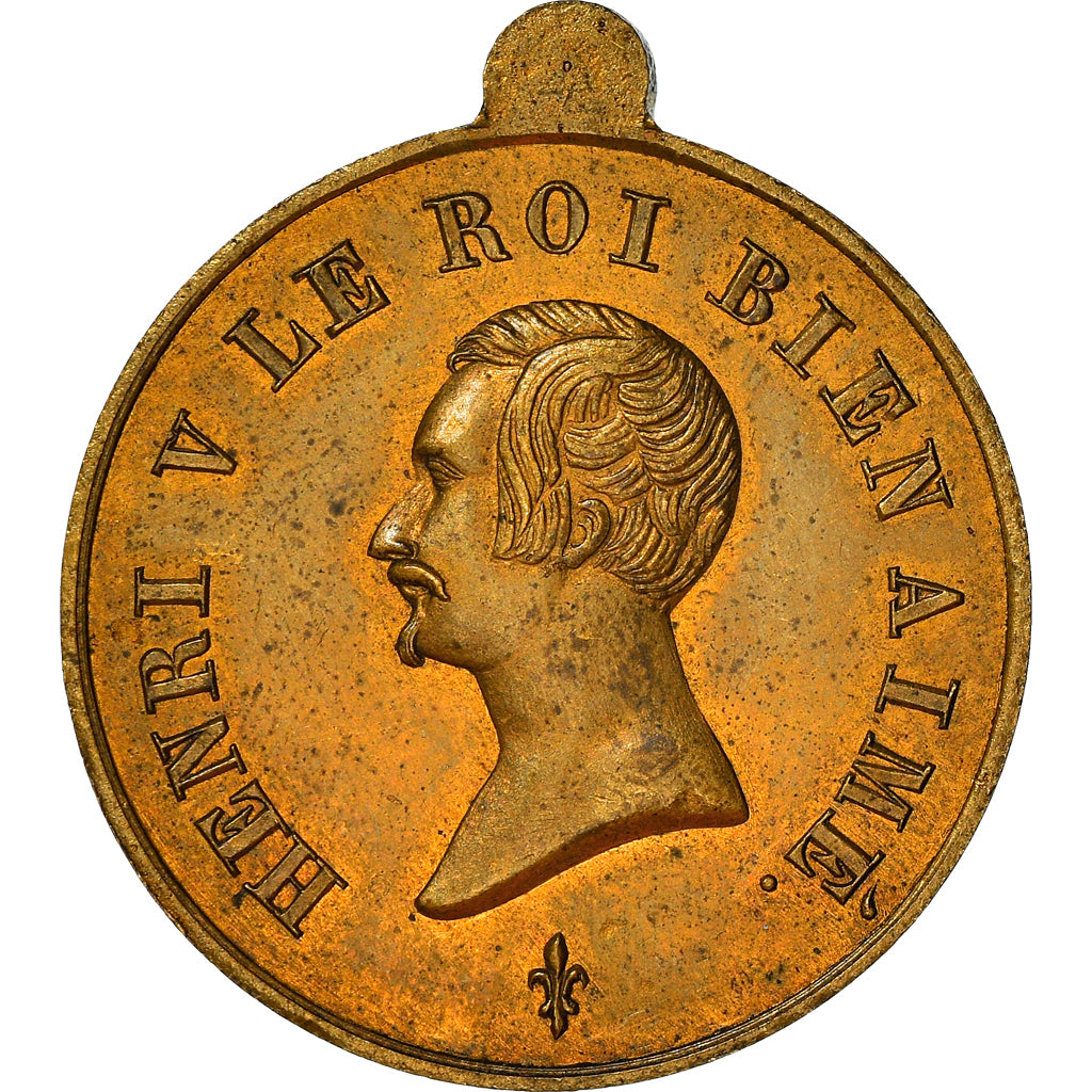 France, Medal, Henri V, Comte de Chambord, Le Roi Bien-Aimé, History