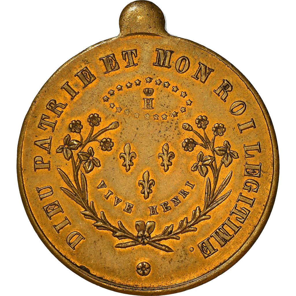 France, Medal, Henri V, Comte de Chambord, Le Roi Bien-Aimé, History