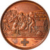 Francia, medaglia, Ministère de la Guerre, Ambulances de la Presse, WAR