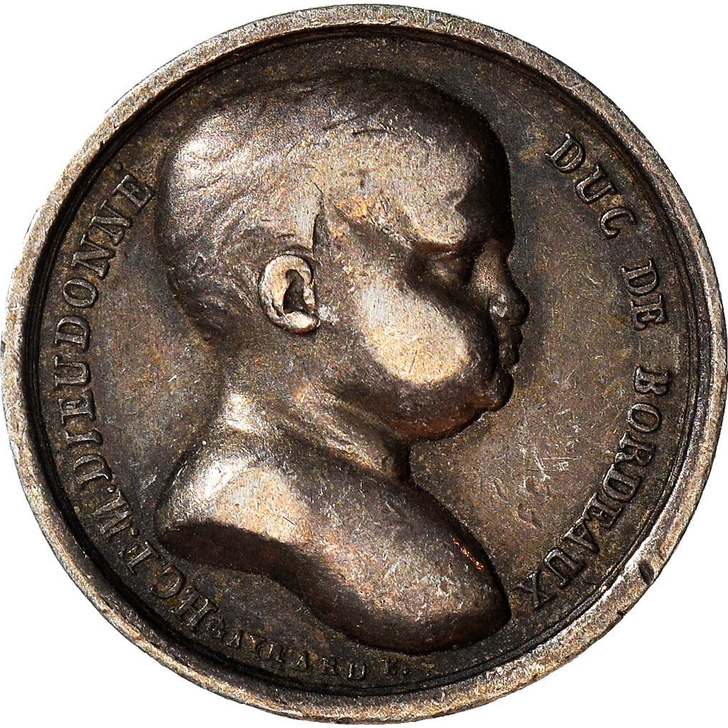 Frankrijk, Medaille, Henri Dieudonné, Corporation des Charbonniers, History