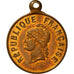 France, Medal, Gouvernement de la Défense Nationale, Politics, Society, War