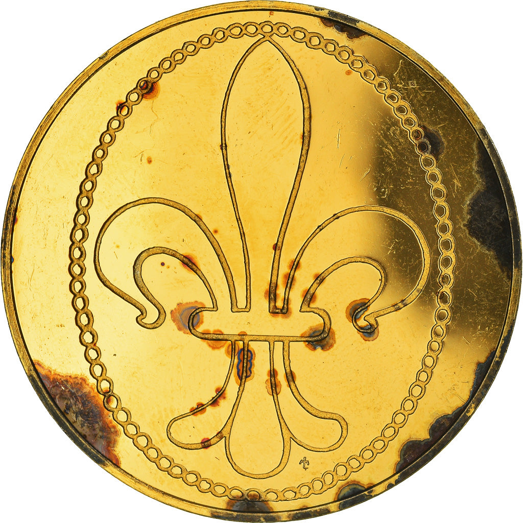 France, Medal, Les Rois de France, Louis IX, History, AU(55-58), Vermeil