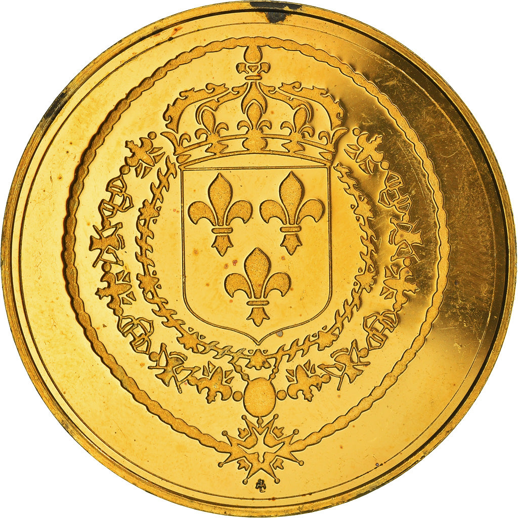França, Medal, Les rois de France, Louis XIV, História, AU(55-58), Vermeil