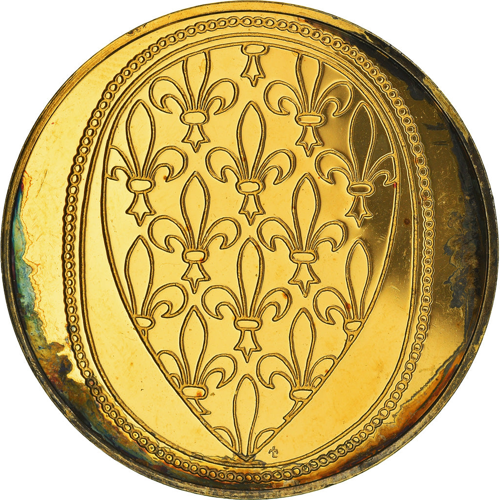 França, Medal, Les Rois de France, Louis VIII, História, AU(55-58), Vermeil