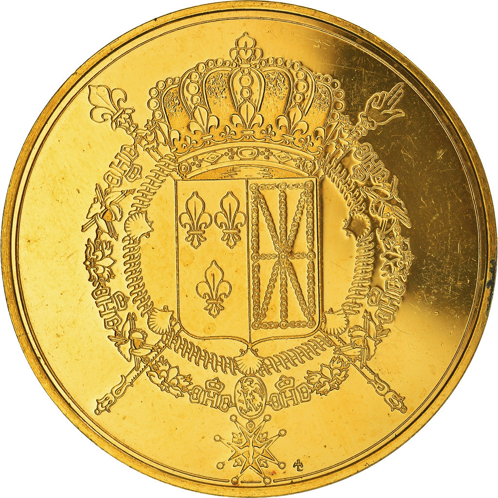 France, Medal, Les Rois de France, Charles X, History, AU(55-58), Vermeil