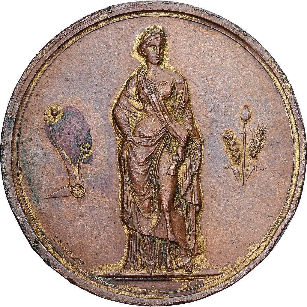 Algeria, Medal, Comice Agricole de l'Arrondissement de Constantine, 1866