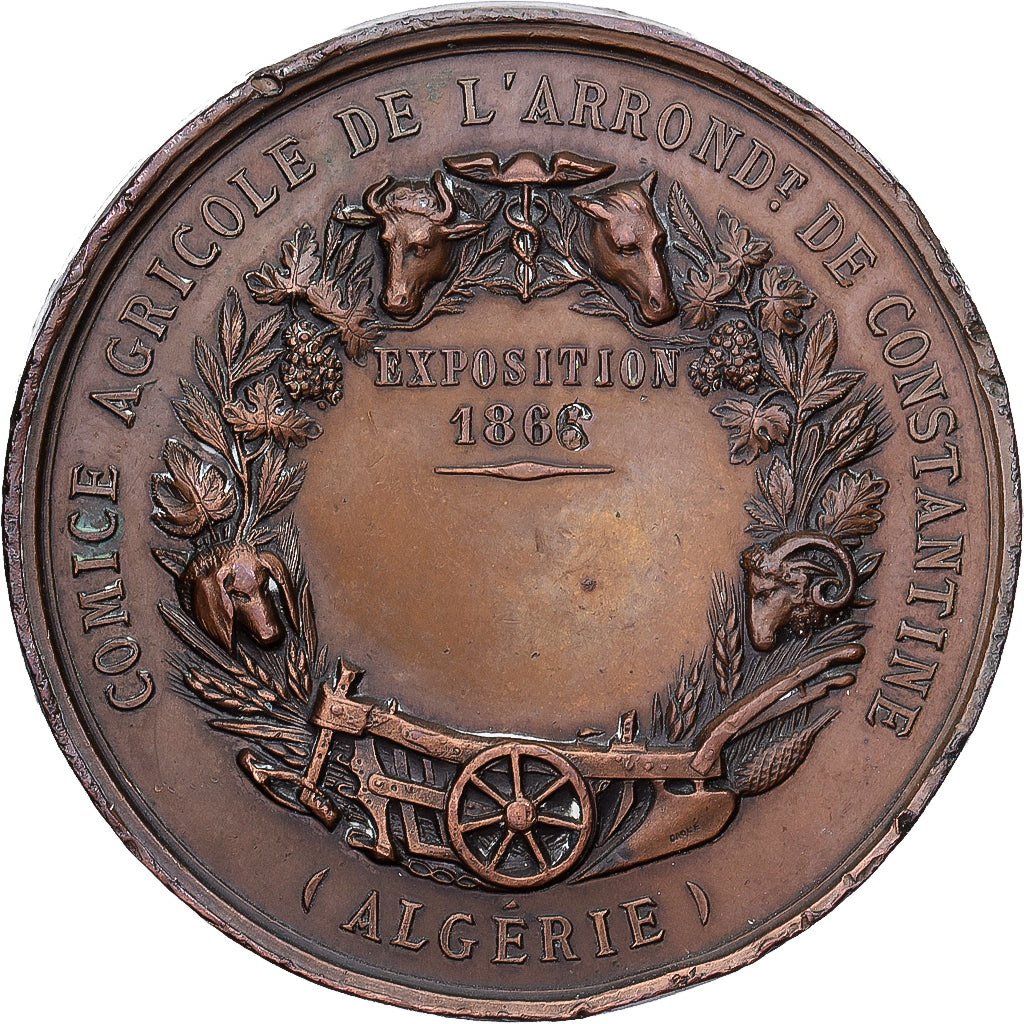Algeria, Medal, Comice Agricole de l'Arrondissement de Constantine, 1866
