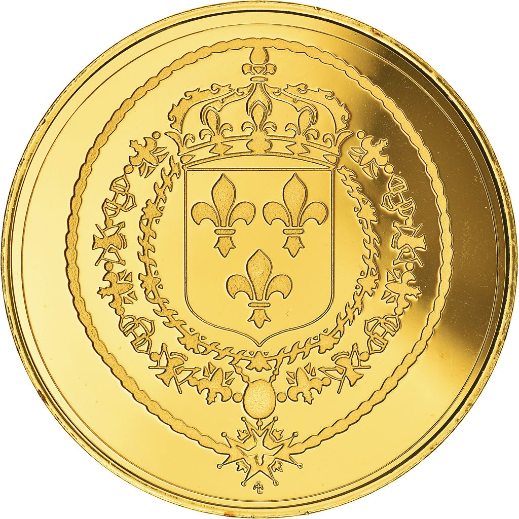 Frankreich, Medaille, Les rois de France, Louis XIV, History, Proof, STGL