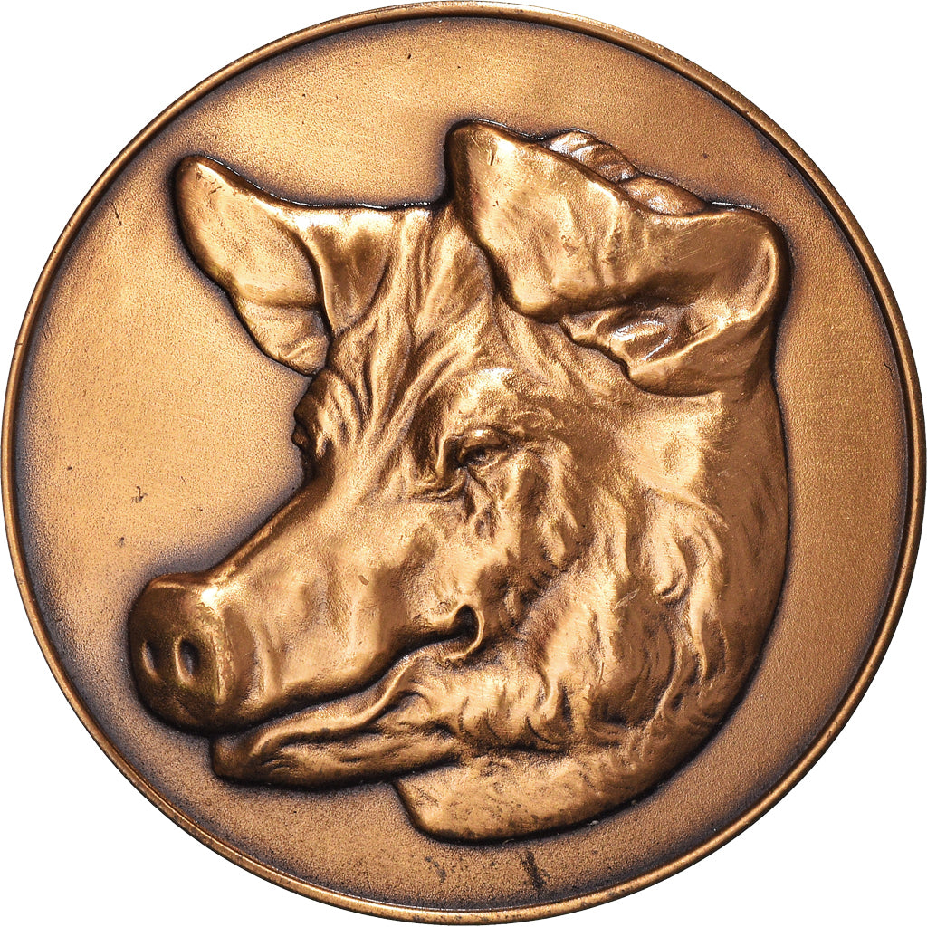 Francia, medalla, Offerte par Mr Bécuwe, Conseiller Général du Pas-de-Calais