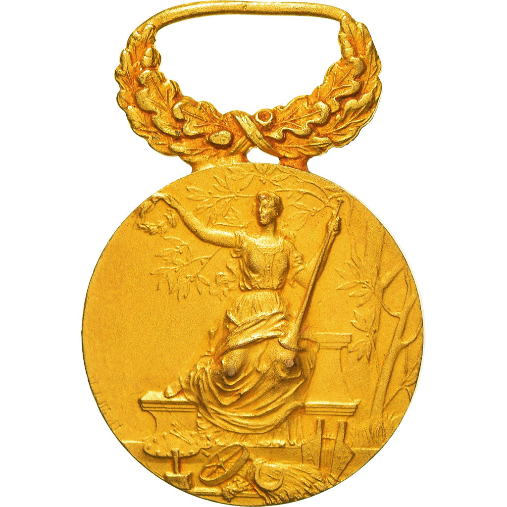 Frankrijk, Union des Amicales Laïques du Nord, Medaille, Heel goede staat, Gilt