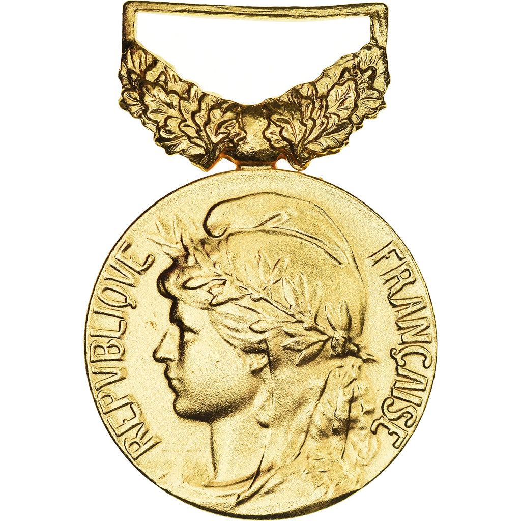 França, Honneur et Travail, M.D.T, Union des Mines, Medal, Qualidade Excelente