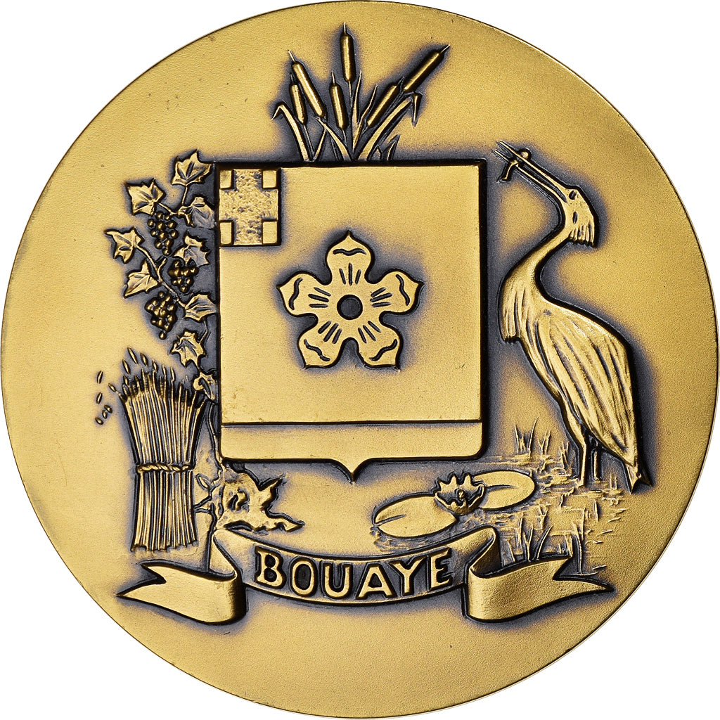 France, Médaille, Ville de Bouaye, Geography, Pichard, SPL, Bronze