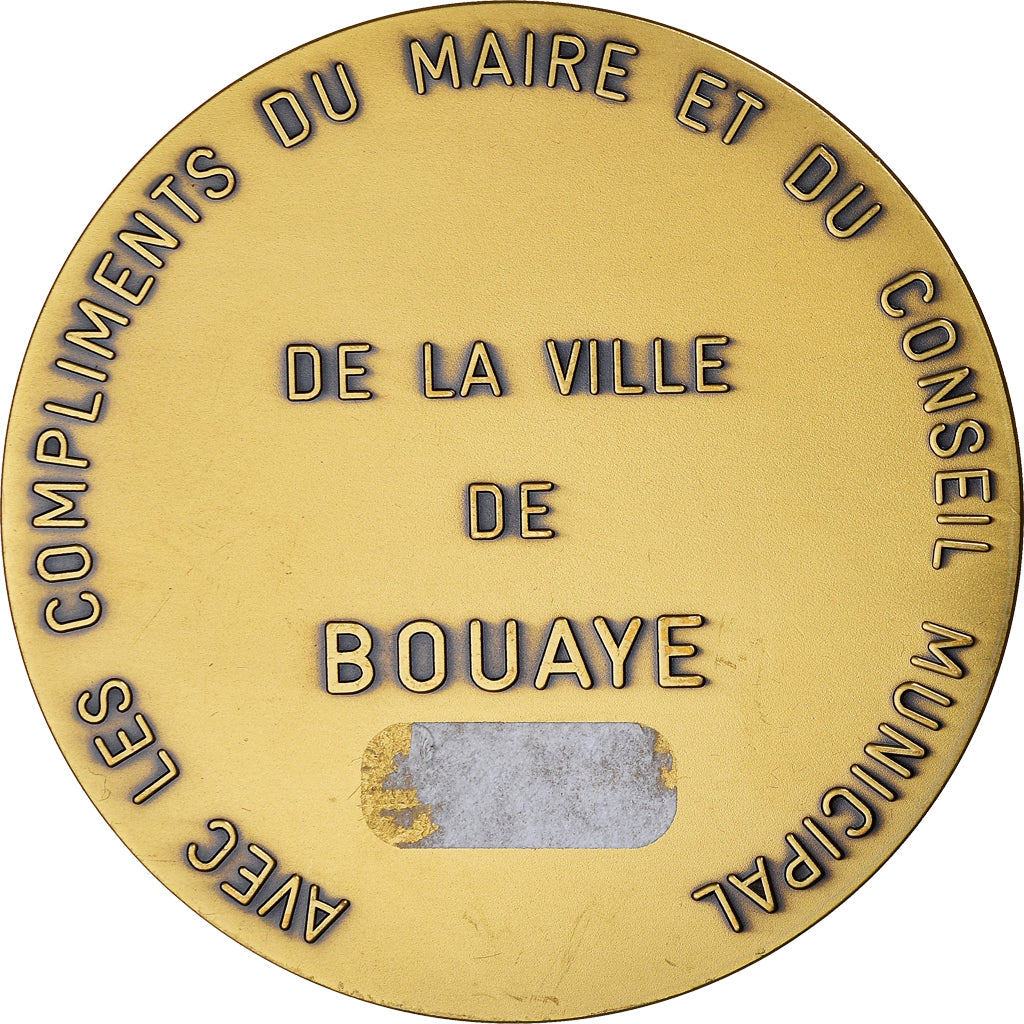 France, Médaille, Ville de Bouaye, Geography, Pichard, SPL, Bronze