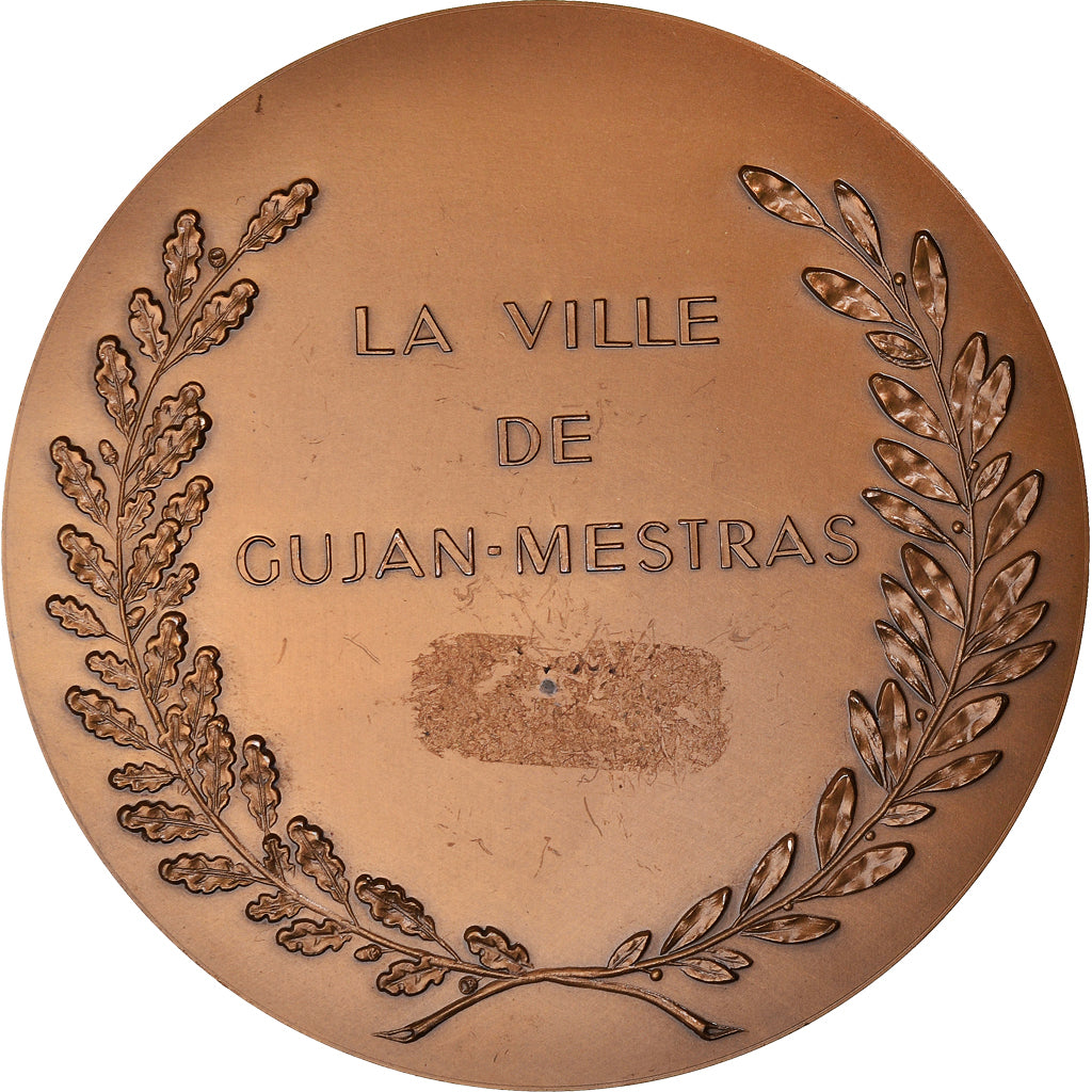 Francja, Medal, Ville de Gujan-Mestras, Geografia, 1987, AU(55-58), Brązowy