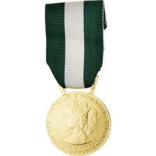 França, Médaille d'honneur communale, régionale et départementale, Medal