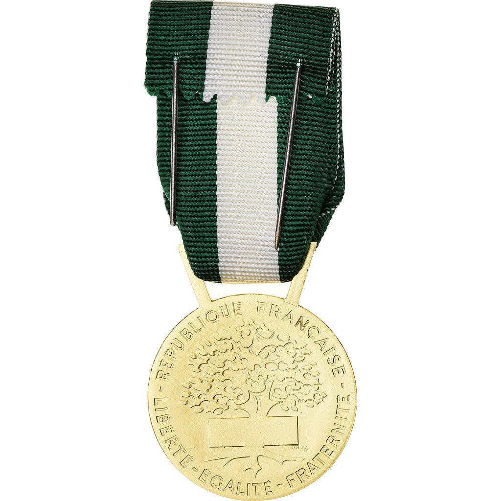 França, Médaille d'honneur communale, régionale et départementale, Medal