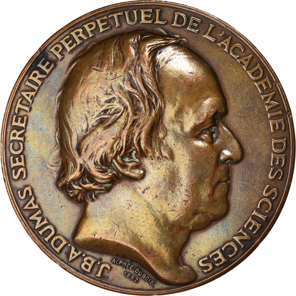 France, Médaille, J.B.A Dumas, Académie des Sciences, 1882, Alphée Dubois
