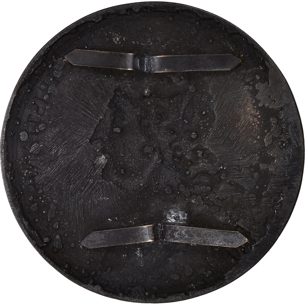 France, Médaille, Louis XIV Le Grand, Galvanoplastie, History, Rottiers, SUP