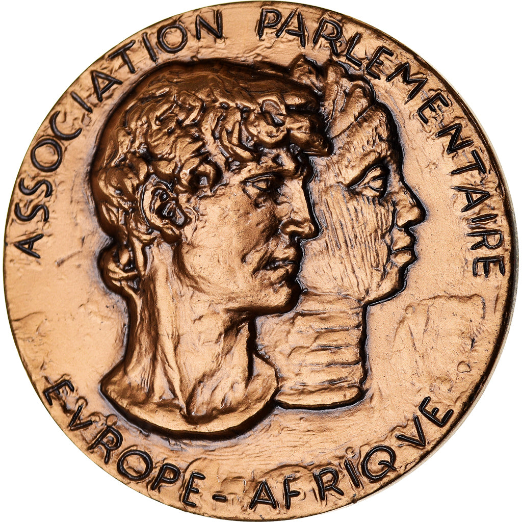 Frankreich, Medaille, Association Parlementaire Europe-Afrique, Tommasi, UNZ