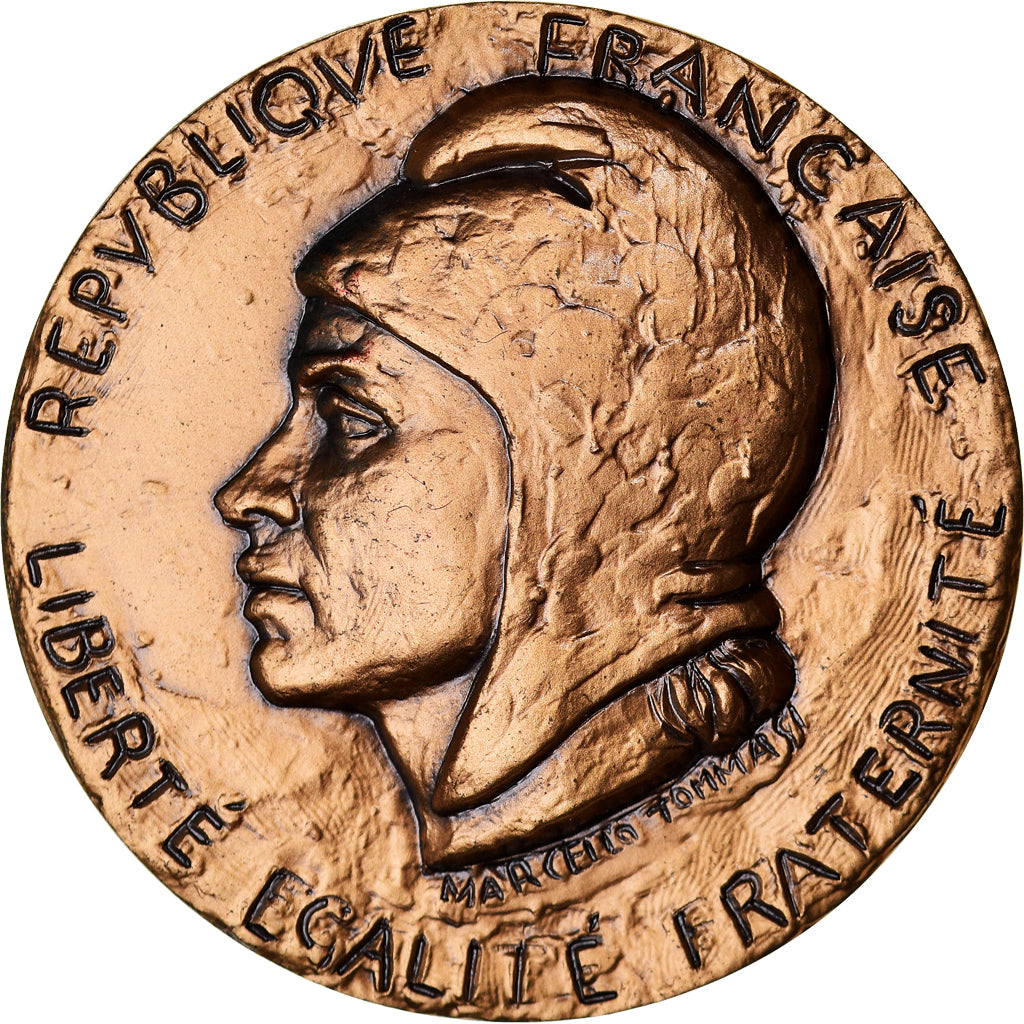 Frankreich, Medaille, Association Parlementaire Europe-Afrique, Tommasi, UNZ
