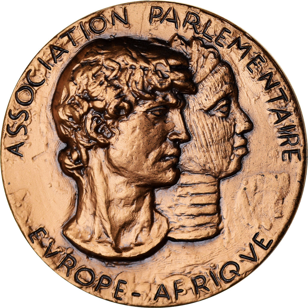 France, Medal, Association Parlementaire Europe-Afrique, Politics, Tommasi
