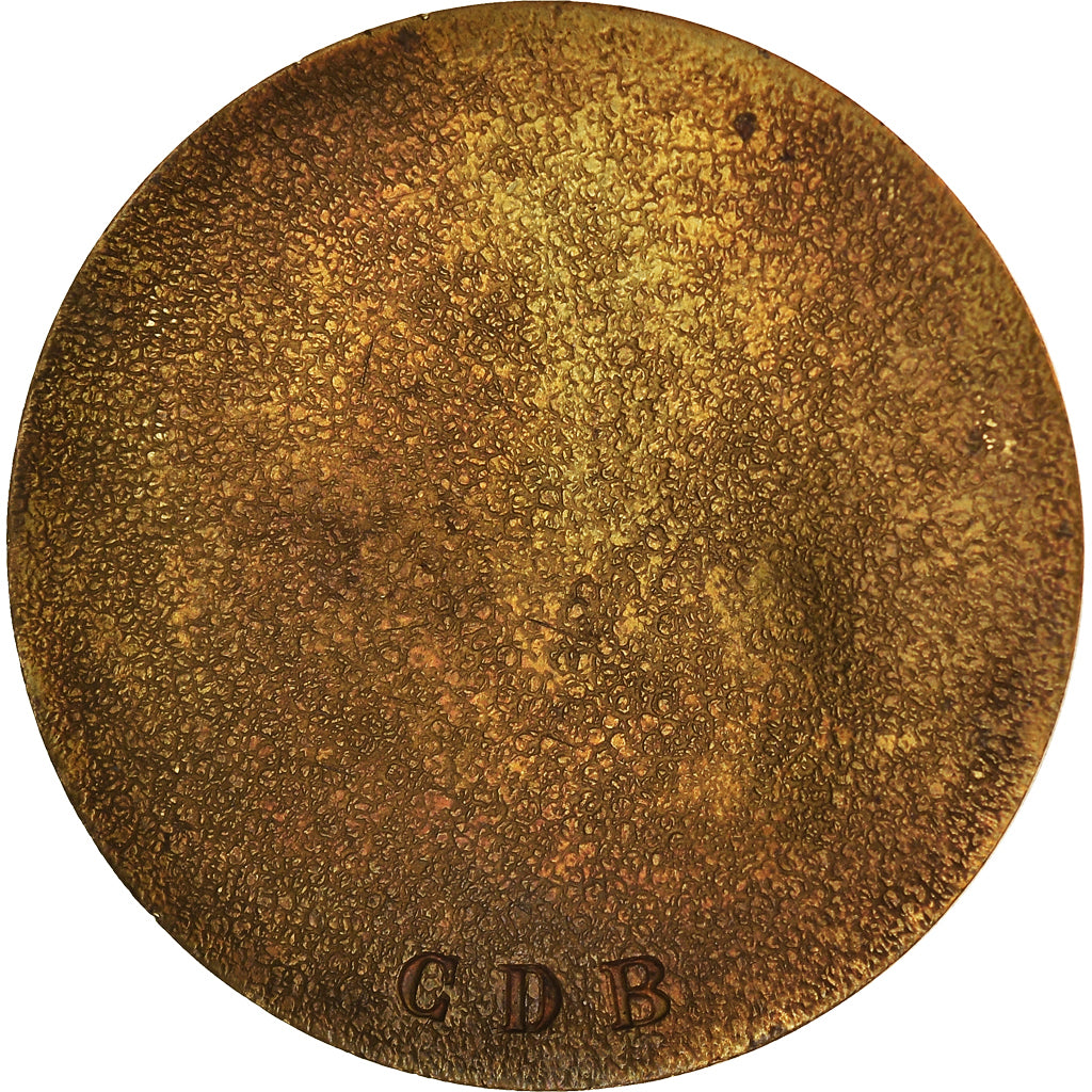 Francja, Medal, Victor Hugo, Sztuka i Kultura, AU(50-53), Brązowy