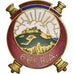 France, Insigne, 66ème Régiment d'Infanterie, Military, Drago, AU(55-58)
