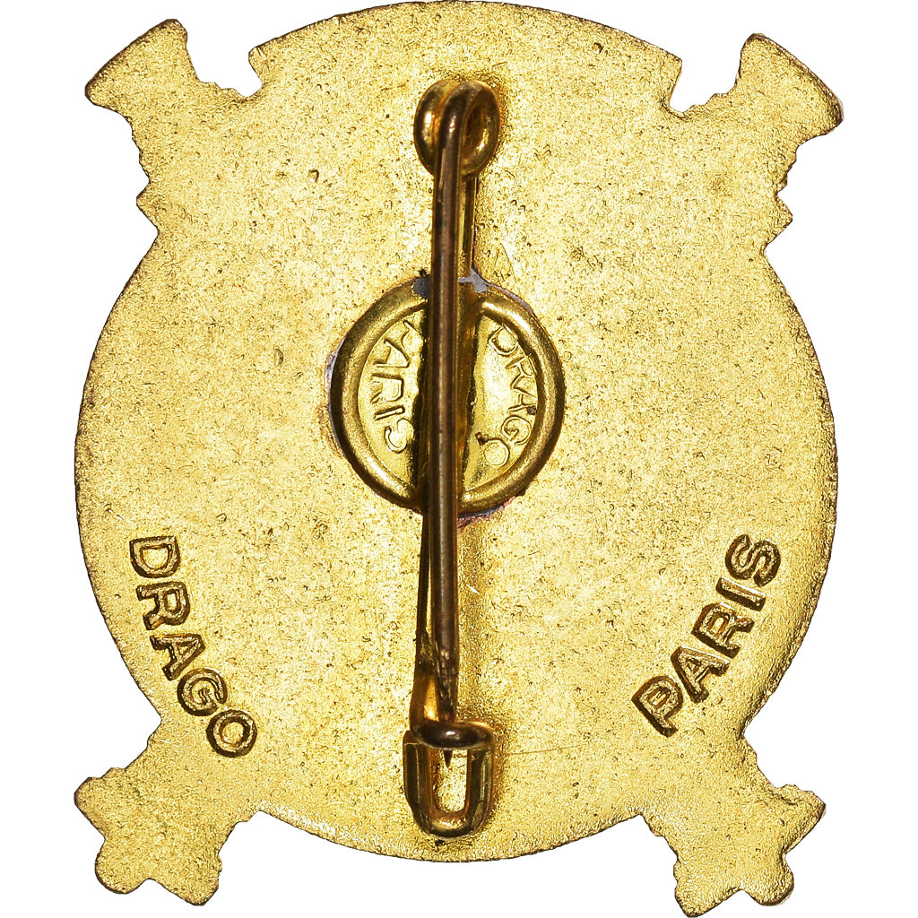 France, Insigne, 66ème Régiment d'Infanterie, Military, Drago, AU(55-58)
