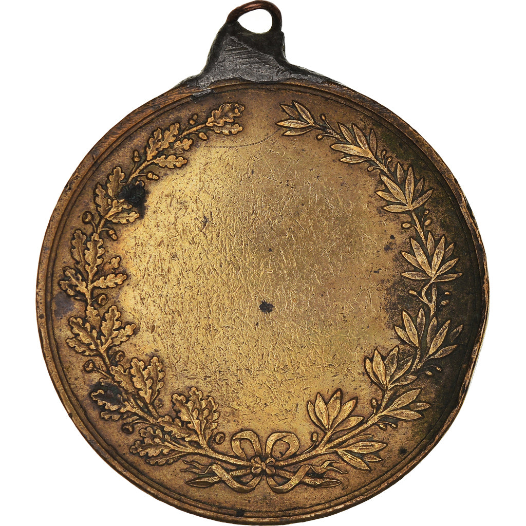 Frankreich, Medaille, Ville de Lille, Geography, SS, Bronze