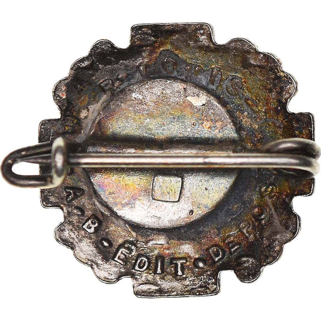 France, Broche, Croix Rouge, S.O.S Sang, SUP, Bronze argenté