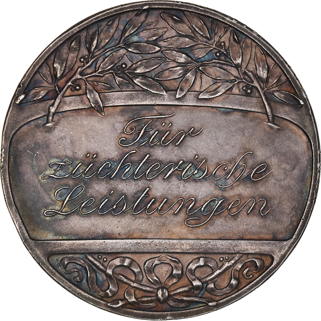 Germany, Medal, Bund Deutscher Geflügel Züchter, Oertel, AU(55-58), Silver