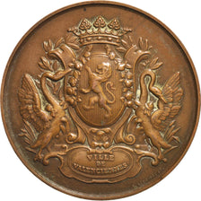 Frankreich, Medaille, Ville de Valenciennes, Geography, 1988, Lemoine, SS+