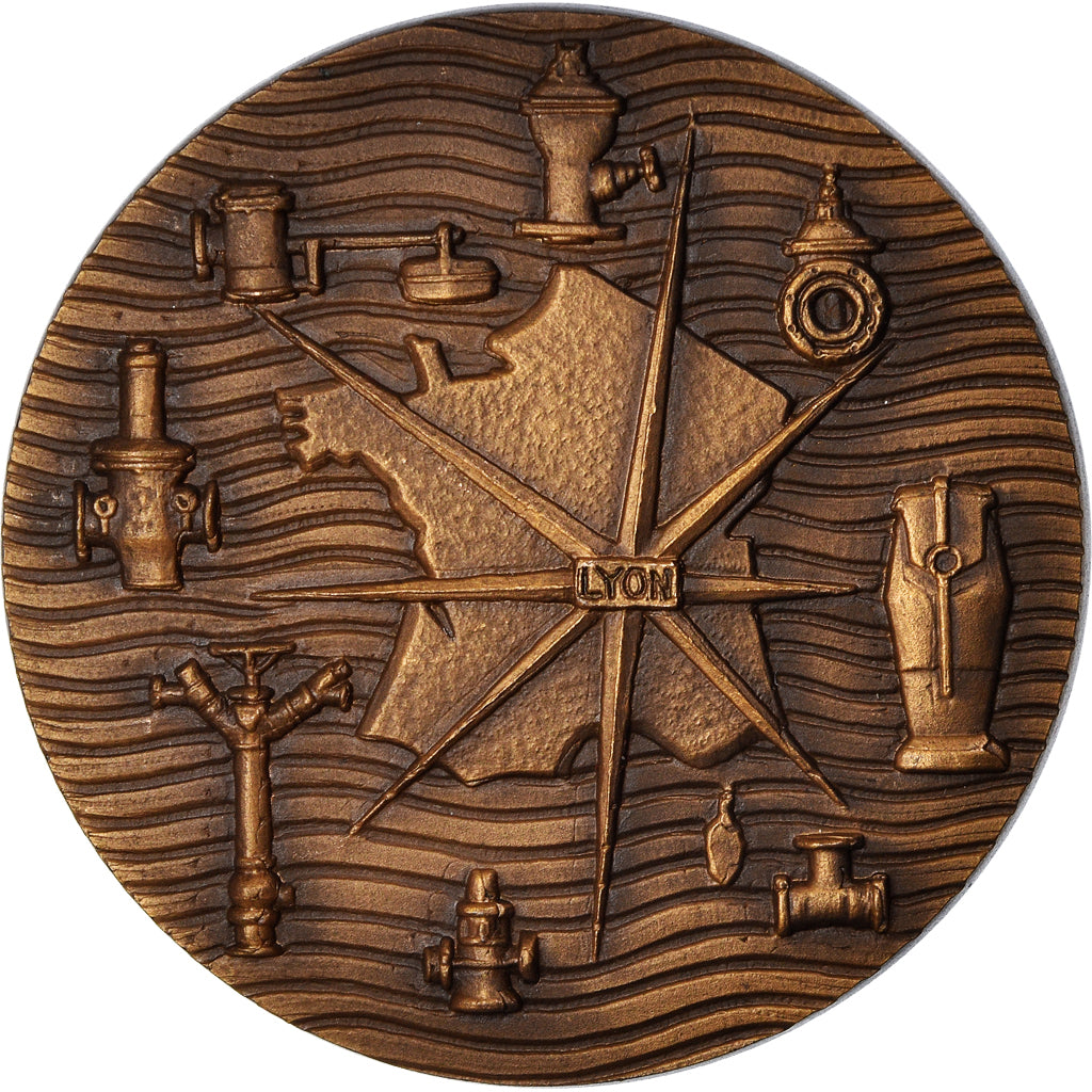 France, Médaille, Bayard, Lyon, 1981, FIA, FDC, Bronze