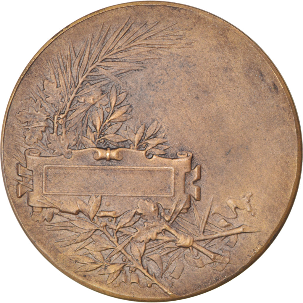 Frankreich, Medaille, Marianne, République Française, Politics, O.Roty, VZ