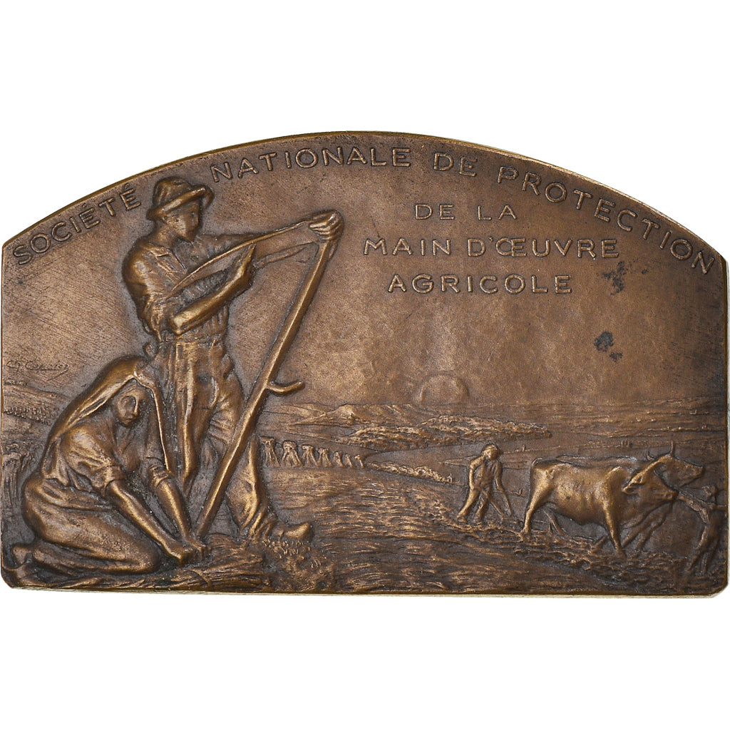 Frankreich, Medaille, Société Nationale de Protection de la Main d'Oeuvre