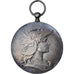 France, Medal, Marianne Casquée, France, Henri Dubois, AU(50-53), Silvered