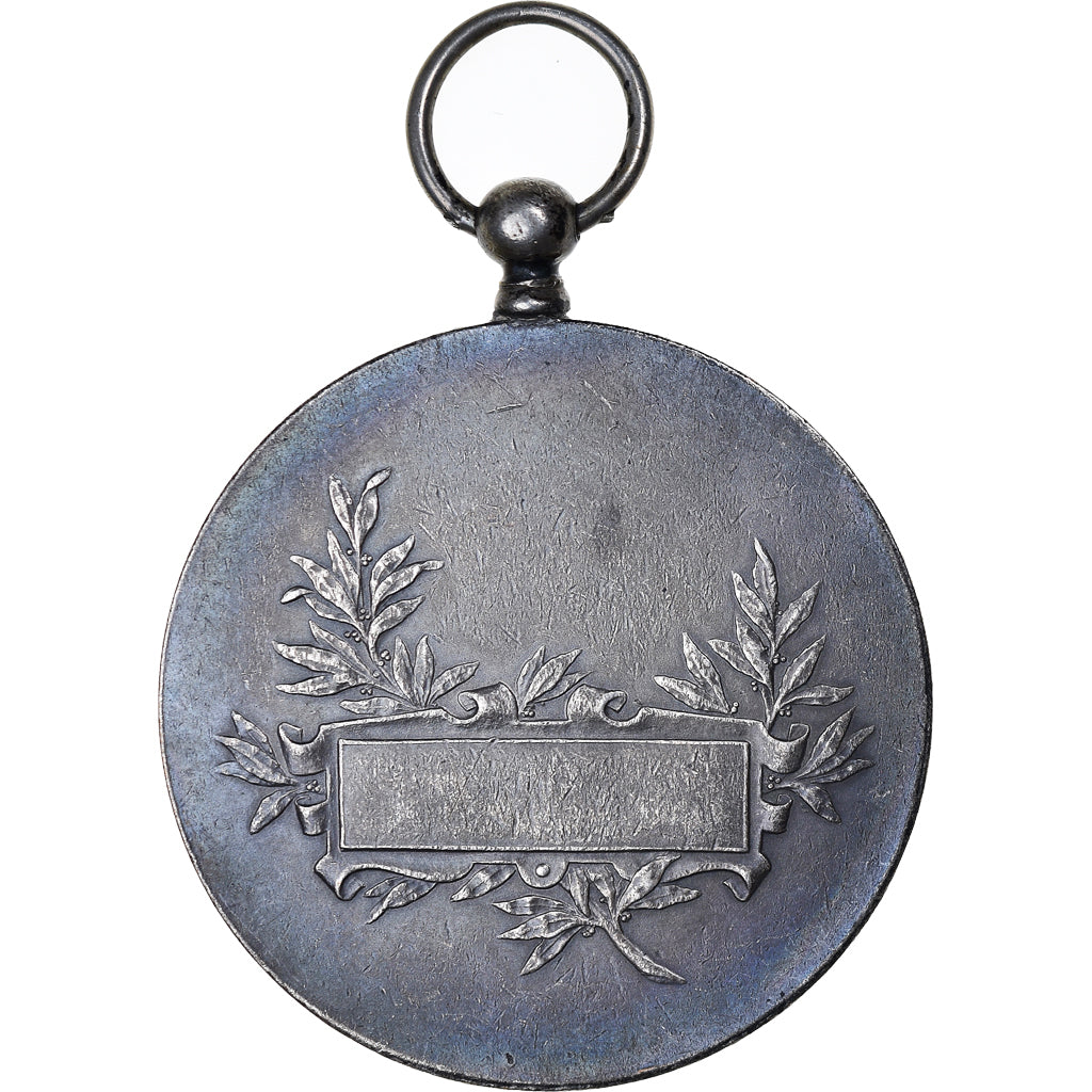 France, Medal, Marianne Casquée, France, Henri Dubois, AU(50-53), Silvered