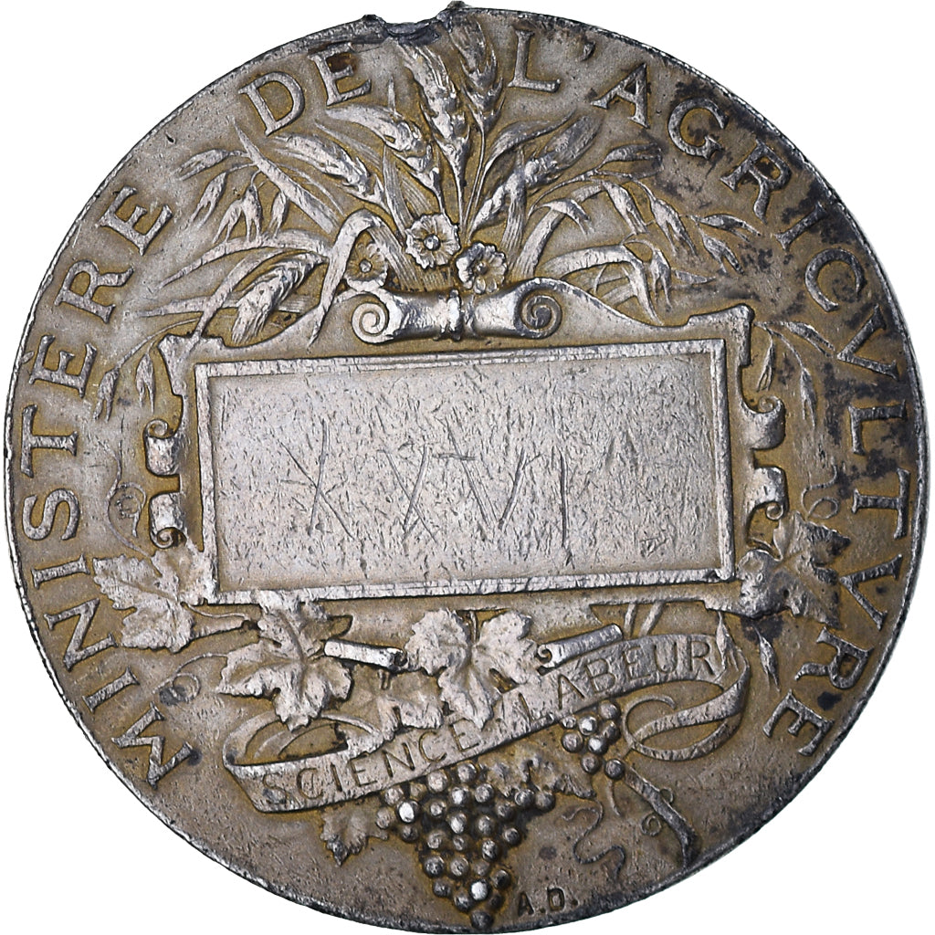 France, Medal, Concours de Pêche, Sports & leisure, Schaller, Art nouveau