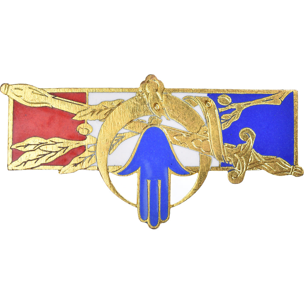 France, Insigne, Troupes Françaises, Maintien de l'Ordre en Afrique du Nord