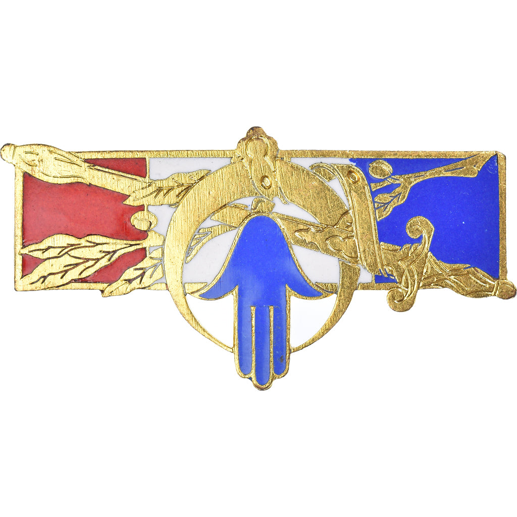 France, Insigne, Troupes Françaises, Maintien de l'Ordre en Afrique du Nord