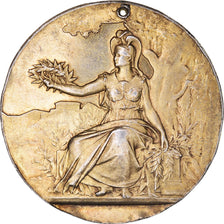 France, Médaille, Agriculture, Comité Linier du Nord de la France, TTB+