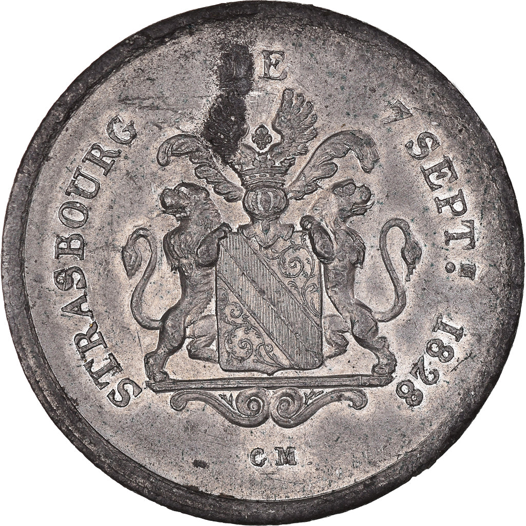 France, Médaille, Charles X, Arrivée et Séjour à Strasbourg, History, 1828