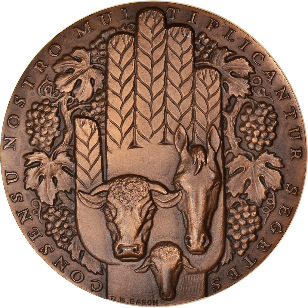 France, Médaille, Crédit Agricole Mutuel, Drôme, Bank, 1977, Baron, SPL