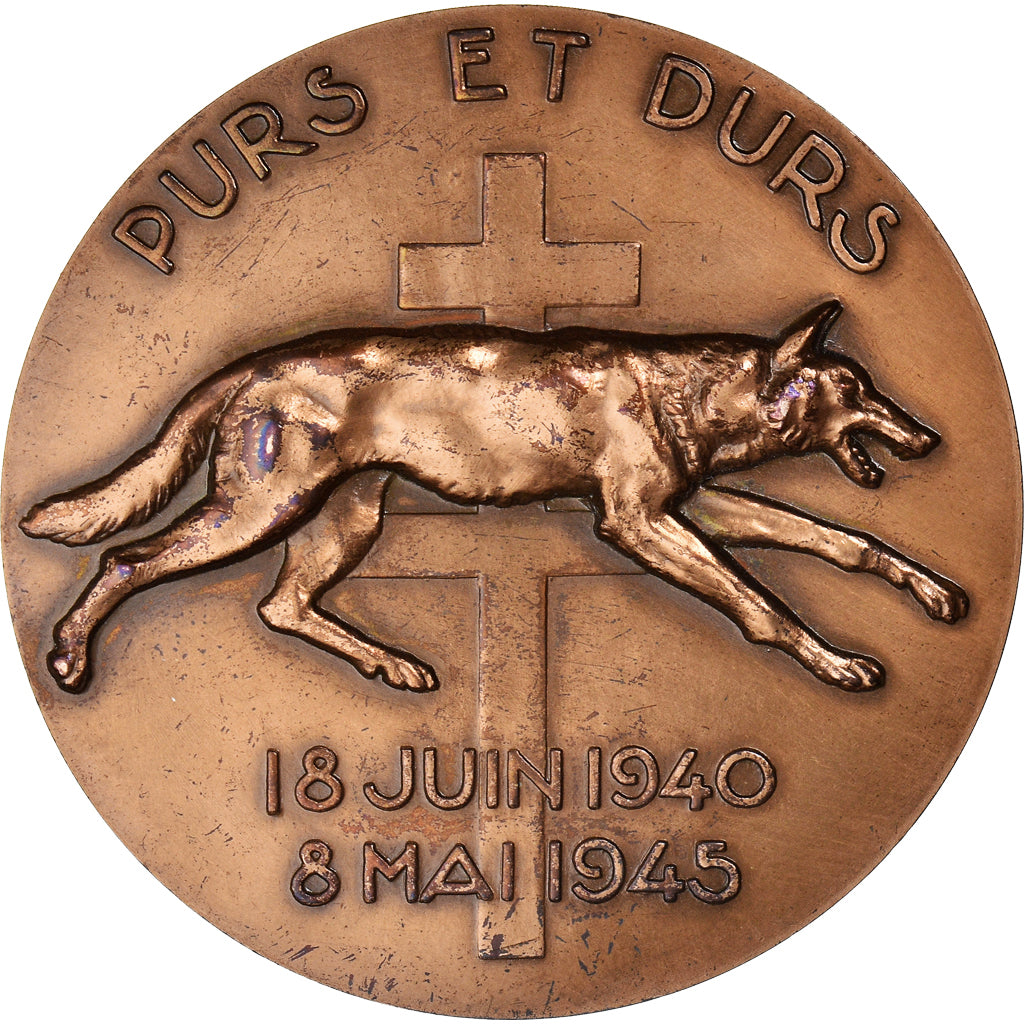 France, Medal, FFL Résistance, Général de Larminat, 1945, Bronze, Delamarre