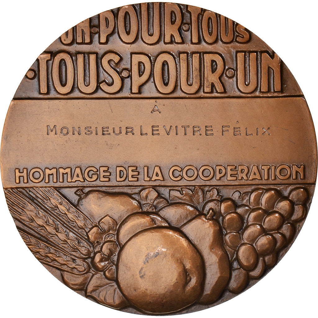 France, Medal, Art Déco, Hommage de la Coopération, Politics, Society, War