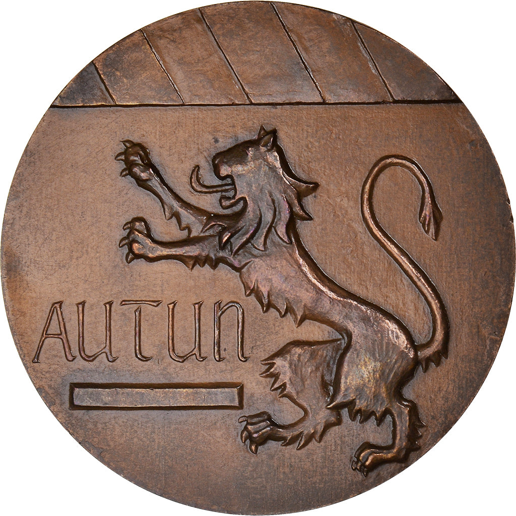 Francia, medalla, Ville d'Autun, Bourgogne, Geography, 1983, SC, Bronce