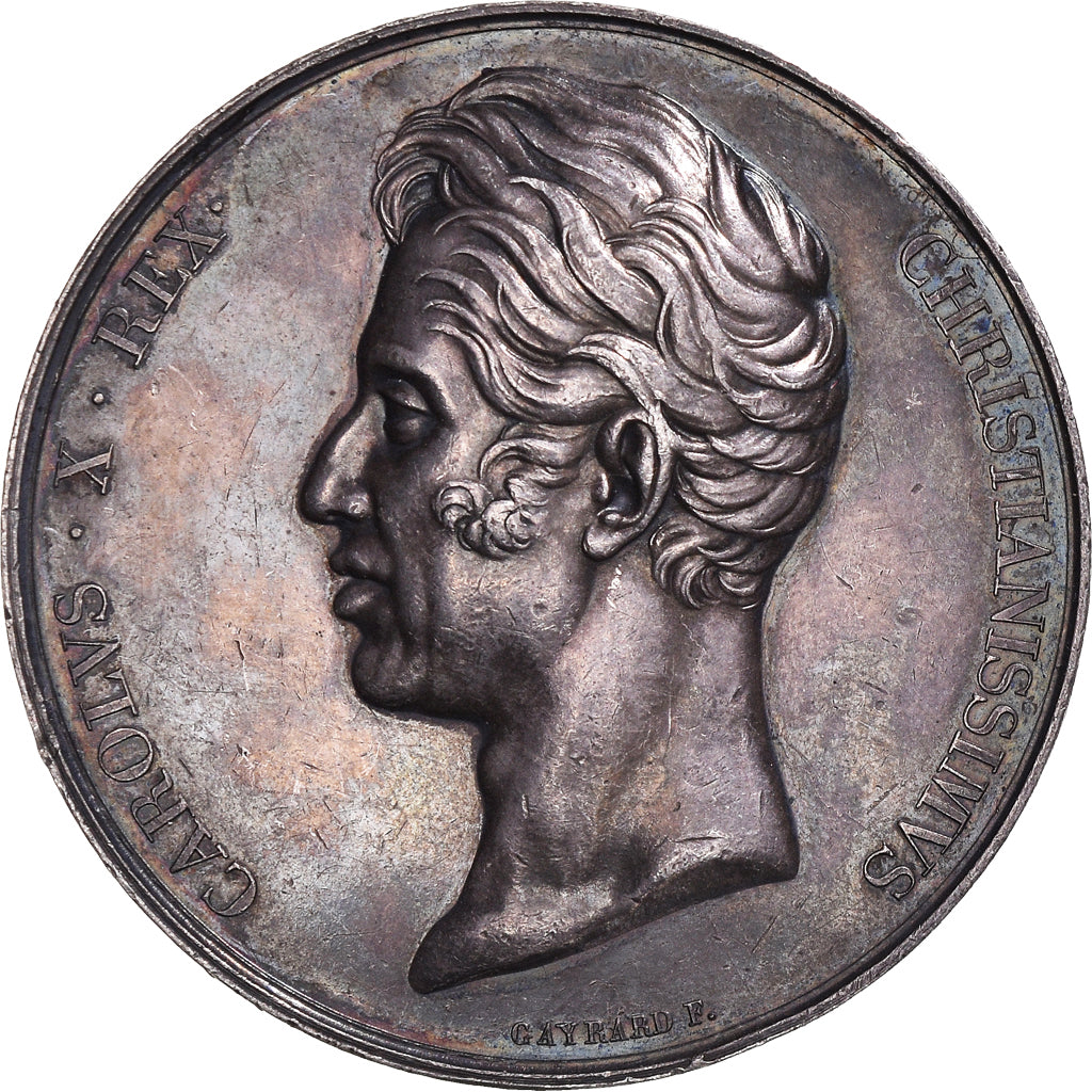Francia, medaglia, Sacre de Charles X Reims, History, 1825, Gayrard, SPL