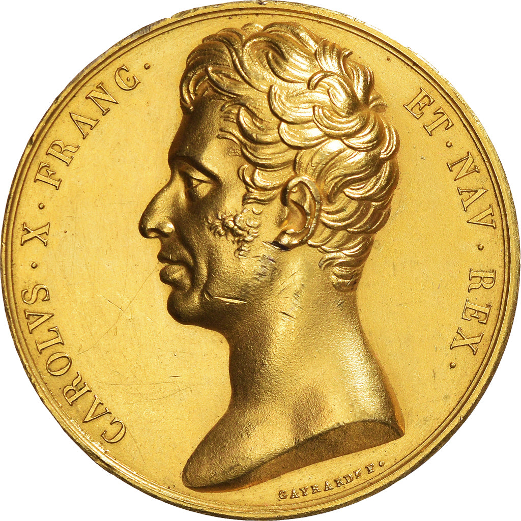 Francia, medaglia, Charles X, Discours du 17 Septembre, History, 1824, Gayrard