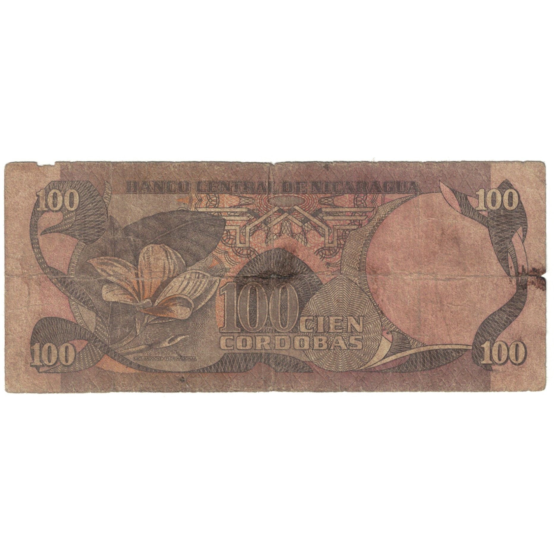 Banknote, Nicaragua, 100 Cordobas, 1984, 1985, KM:141, VG(8-10)